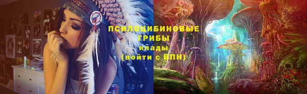твердый Алексин