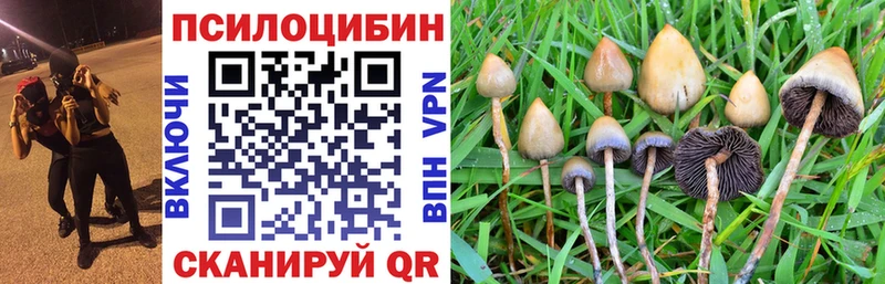 магазин продажи Оленегорск гидра как зайти Псилоцибиновые грибы Psilocybe